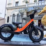 LANQ WLN1255 13 Купить овел LANQ WLN1255