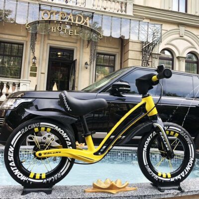 Купить беговел НМR-855 Lux